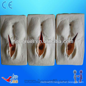 HOT SALE training model for vulva suture